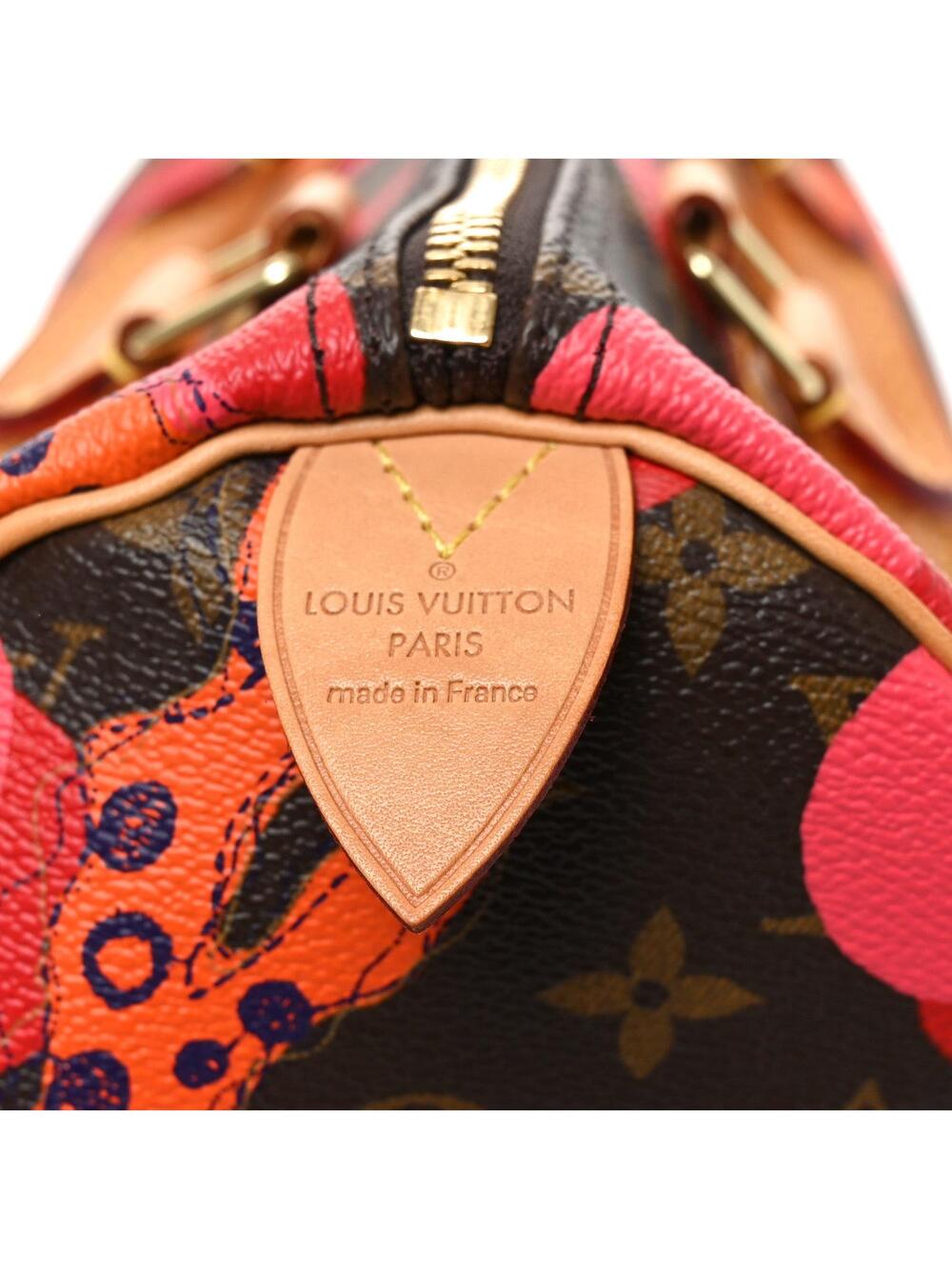 Louis Vuitton Ramages Speedy 30 Grenade #278849L18B - Picture 6 of 9